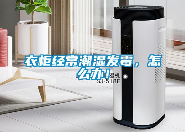 衣柜經常潮濕發霉，怎么辦！