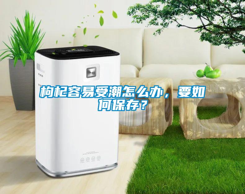 枸杞容易受潮怎么辦，要如何保存？