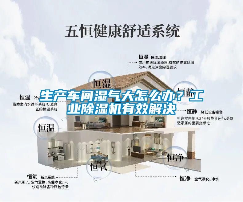 生產車間濕氣大怎么辦？工業除濕機有效解決