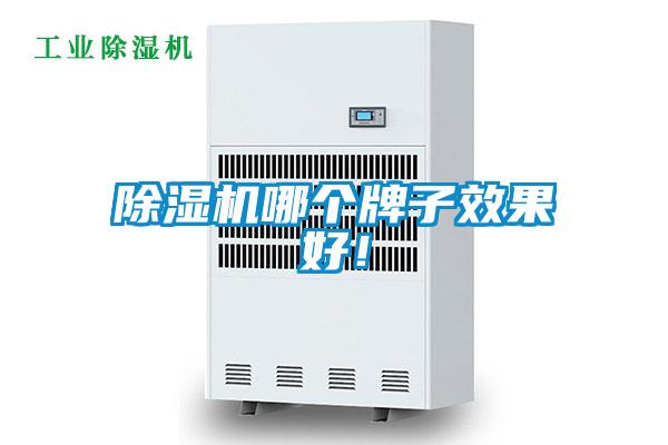 除濕機哪個牌子效果好！