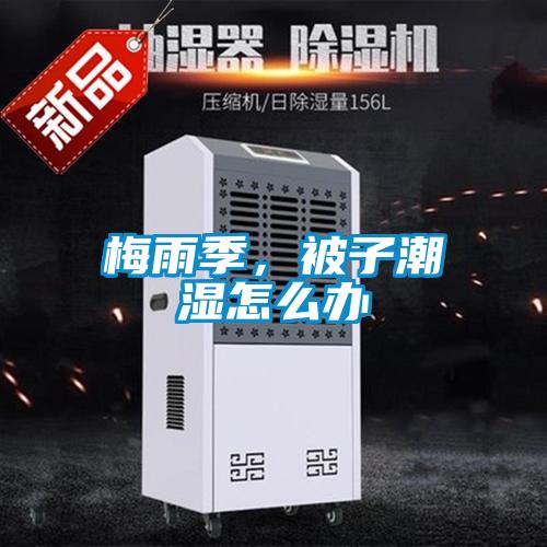 梅雨季，被子潮濕怎么辦