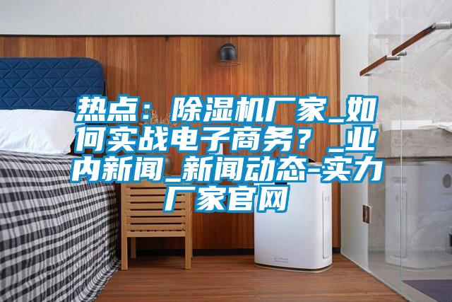 熱點：除濕機廠家_如何實戰電子商務？_業內新聞_新聞動態-實力廠家官網
