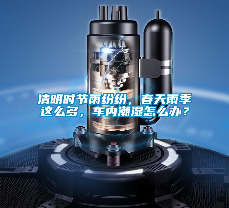清明時節雨紛紛，春天雨季這么多，車內潮濕怎么辦？