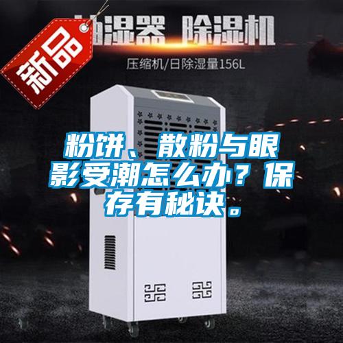 粉餅、散粉與眼影受潮怎么辦？保存有秘訣。