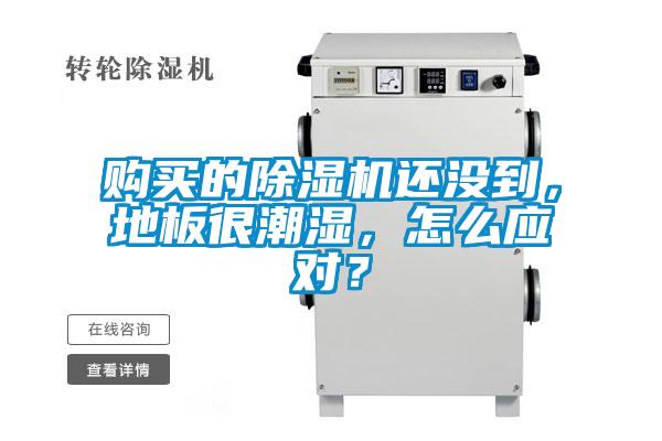 購買的除濕機還沒到，地板很潮濕，怎么應對？