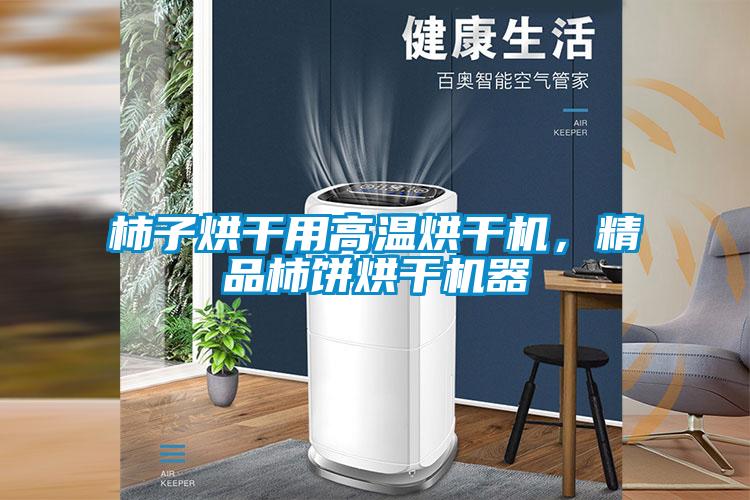 柿子烘干用高溫烘干機，精品柿餅烘干機器