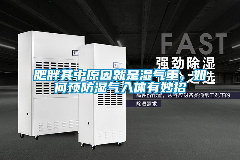 肥胖其中原因就是濕氣重，如何預防濕氣入體有妙招