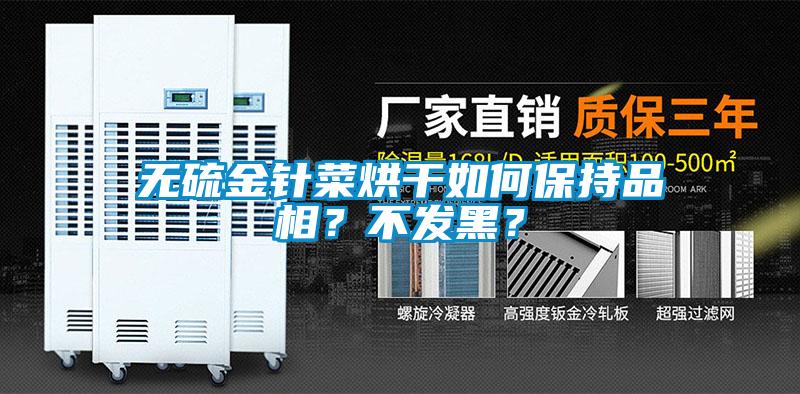 無硫金針菜烘干如何保持品相？不發黑？
