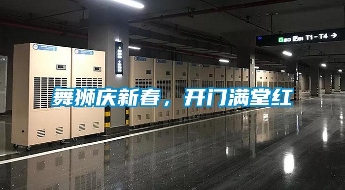 舞獅慶新春，開門滿堂紅
