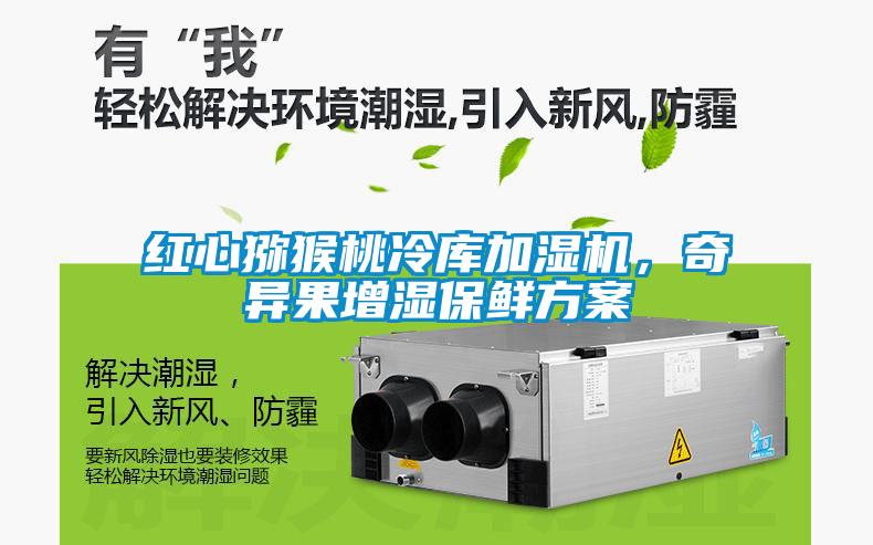 紅心獼猴桃冷庫加濕機，奇異果增濕保鮮方案