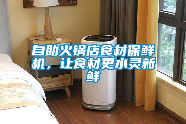 自助火鍋店食材保鮮機，讓食材更水靈新鮮