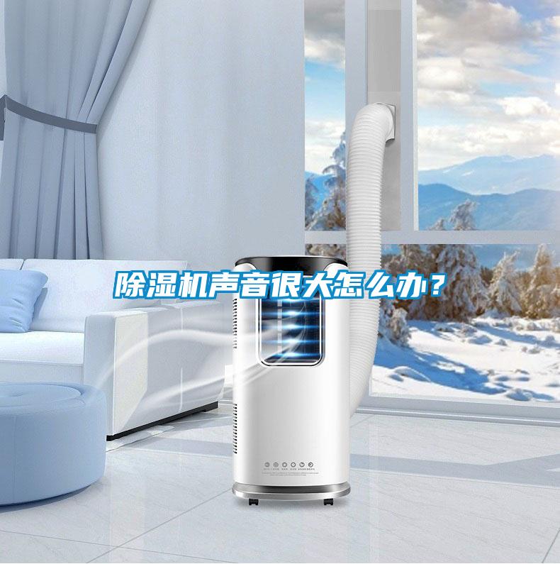 除濕機聲音很大怎么辦？