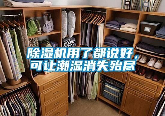 除濕機用了都說好，可讓潮濕消失殆盡