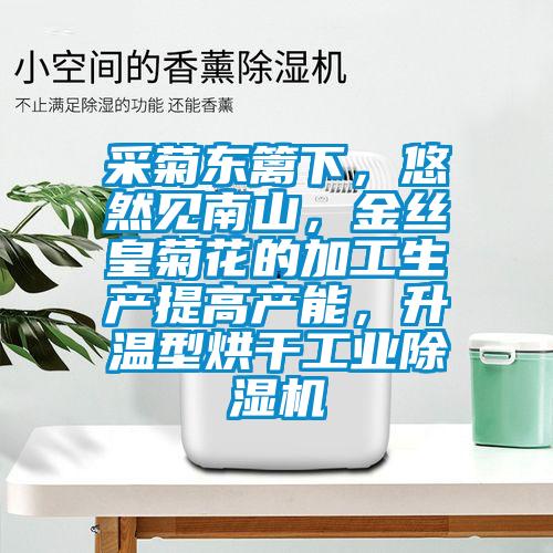 采菊東籬下，悠然見南山，金絲皇菊花的加工生產提高產能，升溫型烘干工業除濕機
