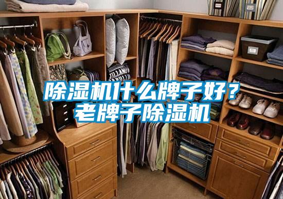 除濕機什么牌子好？老牌子除濕機