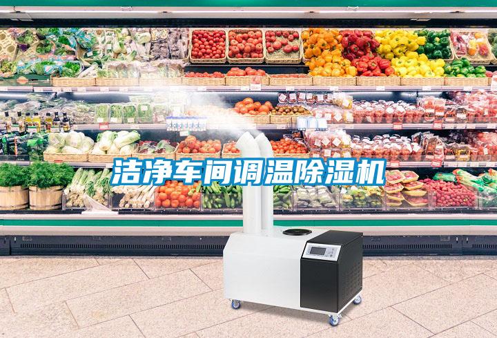 潔凈車間調溫除濕機