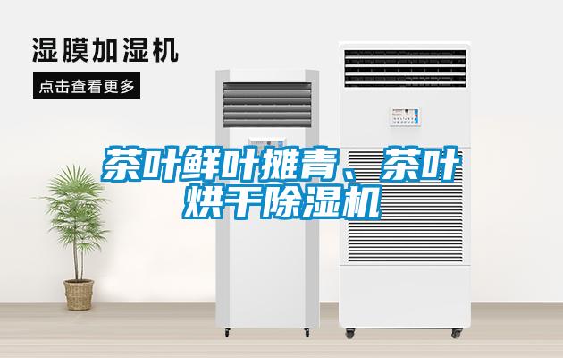 茶葉鮮葉攤青、茶葉烘干除濕機