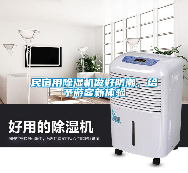 民宿用除濕機做好防潮，給予游客新體驗