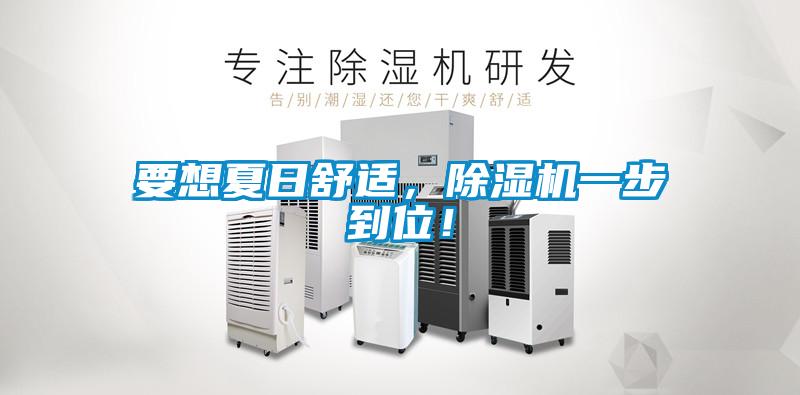 要想夏日舒適，除濕機一步到位！