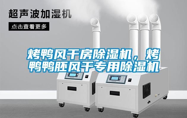 烤鴨風干房除濕機，烤鴨鴨胚風干專用除濕機