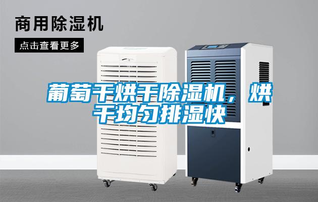 葡萄干烘干除濕機，烘干均勻排濕快