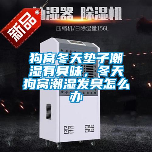 狗窩冬天墊子潮濕有臭味，冬天狗窩潮濕發臭怎么辦