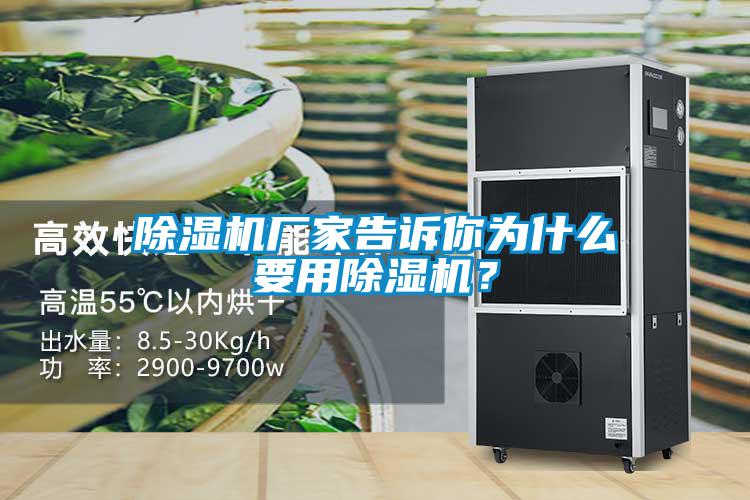 除濕機廠家告訴你為什么要用除濕機？