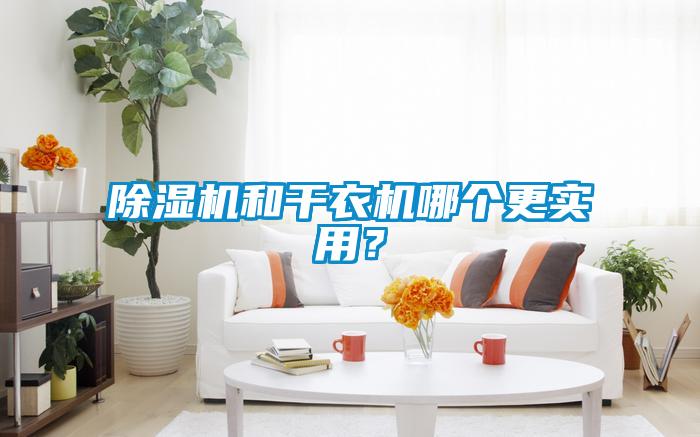 除濕機和干衣機哪個更實用？