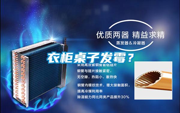 衣柜桌子發霉？