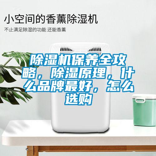 除濕機保養全攻略，除濕原理，什么品牌最好，怎么選購