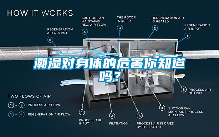 潮濕對身體的危害你知道嗎？