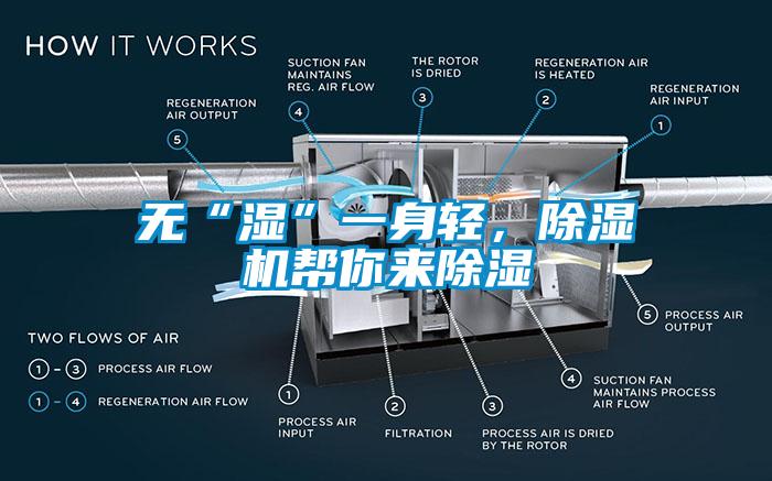 無“濕”一身輕，除濕機幫你來除濕