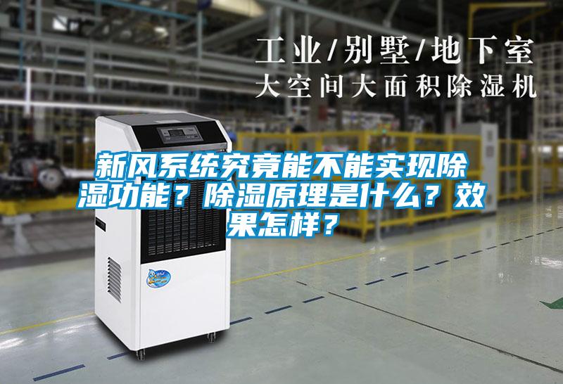 新風系統究竟能不能實現除濕功能？除濕原理是什么？效果怎樣？