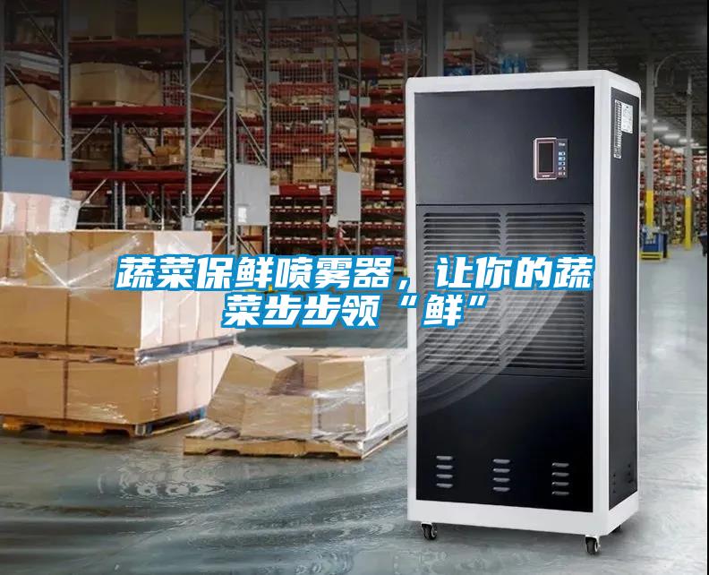 蔬菜保鮮噴霧器，讓你的蔬菜步步領“鮮”