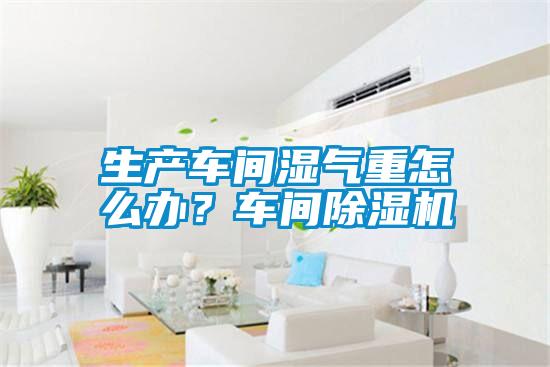 生產車間濕氣重怎么辦？車間除濕機
