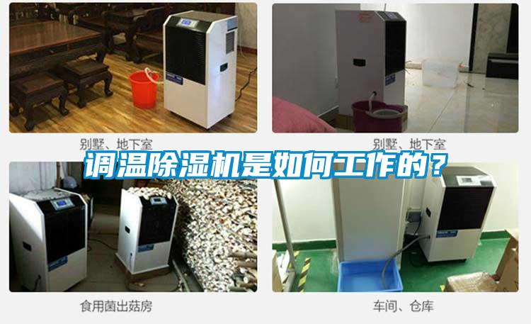 調溫除濕機是如何工作的？