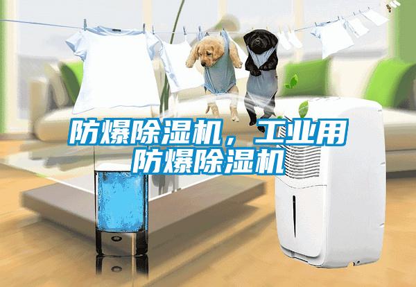 防爆除濕機，工業用防爆除濕機