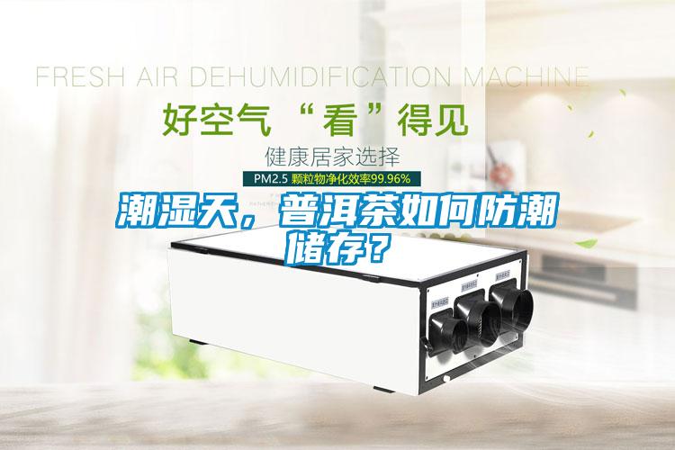 潮濕天，普洱茶如何防潮儲存？