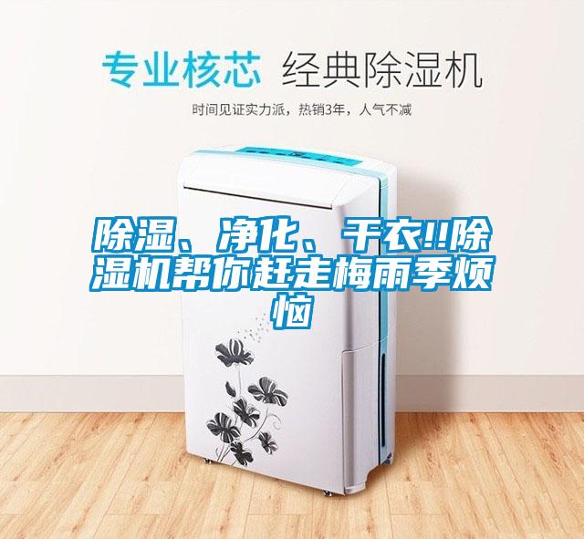 除濕、凈化、干衣!!除濕機幫你趕走梅雨季煩惱