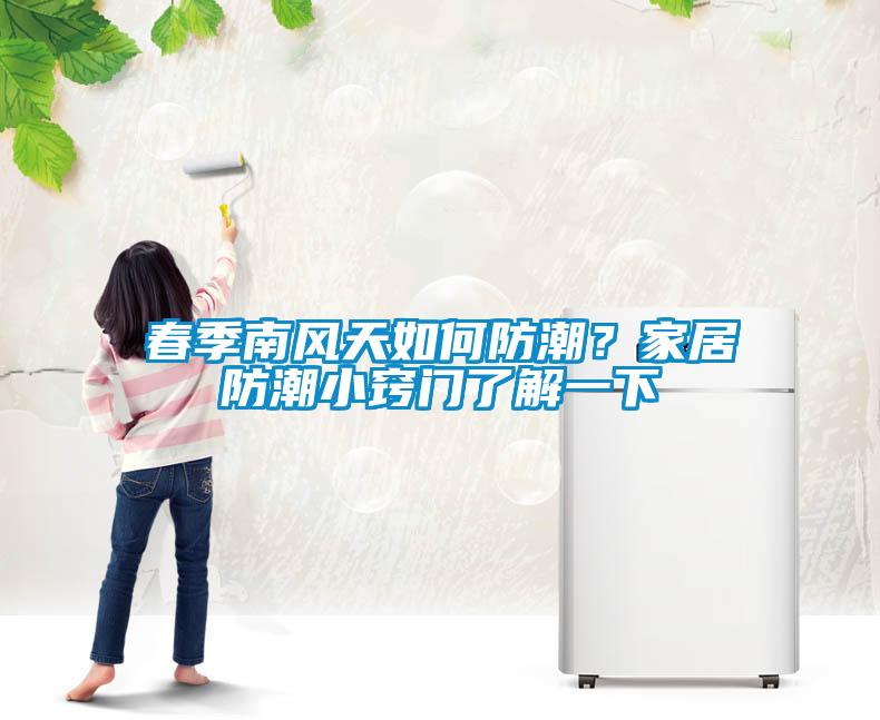 春季南風天如何防潮？家居防潮小竅門了解一下