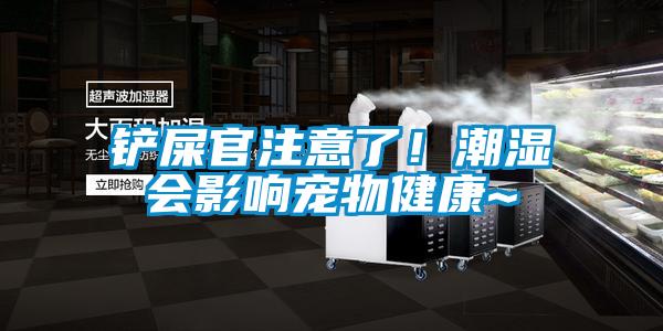 鏟屎官注意了！潮濕會影響寵物健康~
