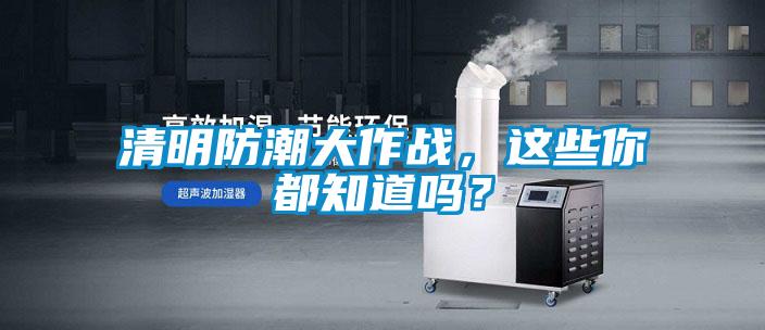 清明防潮大作戰，這些你都知道嗎？