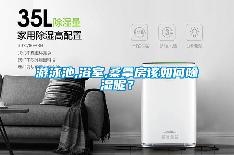 游泳池,浴室,桑拿房該如何除濕呢？