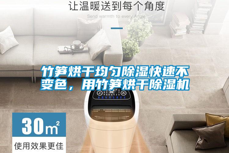 竹筍烘干均勻除濕快速不變色，用竹筍烘干除濕機