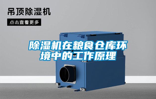 除濕機在糧食倉庫環境中的工作原理
