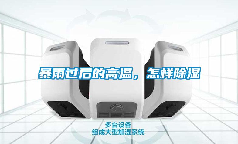 暴雨過后的高溫，怎樣除濕
