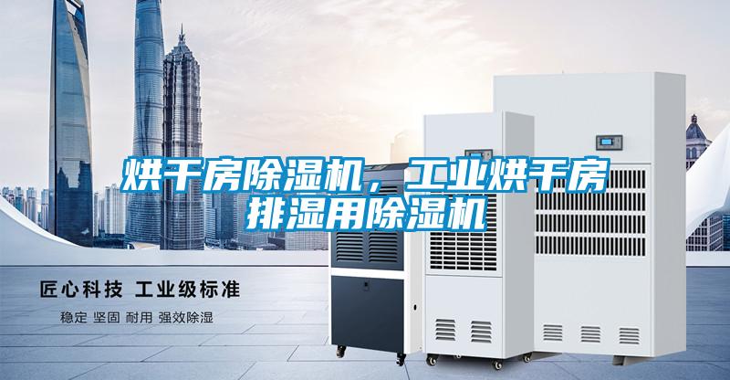 烘干房除濕機，工業烘干房排濕用除濕機