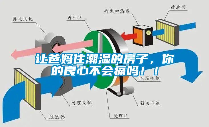 讓爸媽住潮濕的房子，你的良心不會痛嗎??！