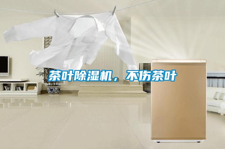 茶葉除濕機，不傷茶葉