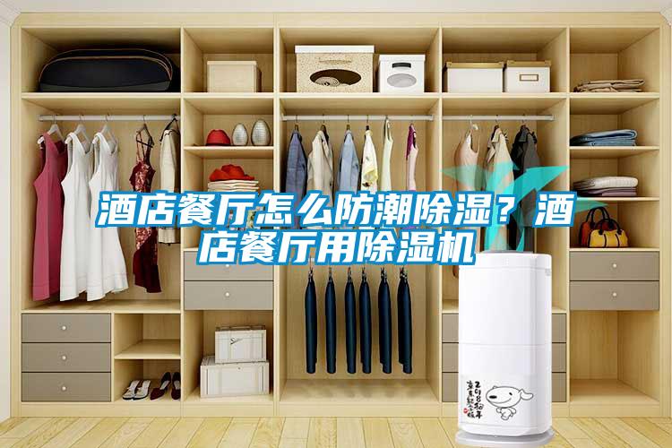 酒店餐廳怎么防潮除濕？酒店餐廳用除濕機